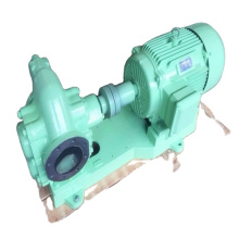 China-made explosion-proof gear oil pump large flow diesel gasoline gear oil pump